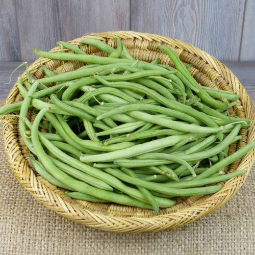 Photo de: Haricot-vert
